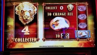 Buffalo Gold Slot Machine Bonuses With $4.8 / $7.2 / $9.6 Bet !! 4 Time Bonus Win