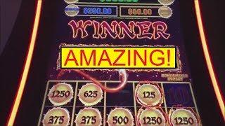 AMAZING RUN ON DRAGON LINK $200 INTO $$$$$$