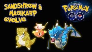 Pokémon Time! Ep. 2: Magikarp & Sandshrew evolve