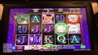 $1,335 Jackpot! | Kitty Glitter Game | Thousands Of Dollars In Rewards! | The Big Jackpot