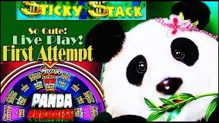 First Attempt on Panda Paradise Flaming Jackpots and Trying The green machine deluxe again!