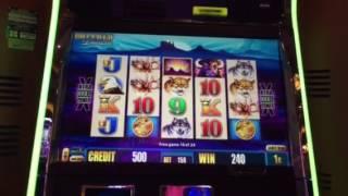 Buffalo Deluxe Free Spin Bonus Mandalay Bay Casino Las Vegas