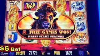 BUFFALO GOLD Slot Machine Max Bet Bonus| BIG WIN Line Hits ! Live Aristocrat Slot Play