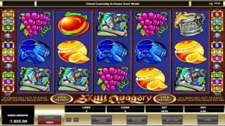 Free Skull Duggery slot machine by Microgaming gameplay • SlotsUp