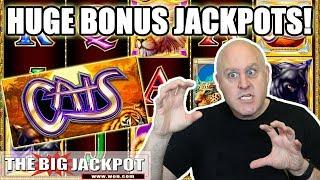 HUGE Jackpots! Cats Slot Machine Wins! | The Big Jackpot