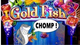Goldfish 3 Huge Bonus Wins !  Big Chomps  - Aria Las Vegas