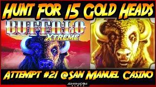 Hunt for 15 Gold Heads! Episode #21 on Buffalo Xtreme Slot Machine - Can The Winning Continue?