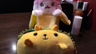 Taco Cat Tuesday: 1/29/2019