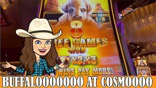 Buffalo Grand and Buffalo Chief Slot Machines  Horseshoe and Cosmo Las Vegas