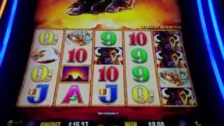 Buffalo Gold Live Play Double or Nothing Slot Machine - Viewer Request Part 4