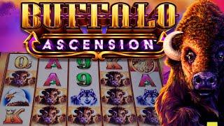 BUFFALO ASCENSION 3x 5x free spins NO RETRIGGER!! & More Slot Machine Bonuses!!