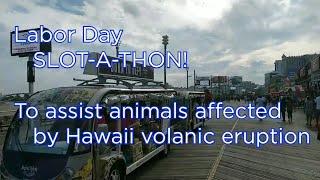 SLOT-A-THON  For Puna Animal Charities  Part 1 - Mr. Cashman, Outback Jack, Seinfeld & More!