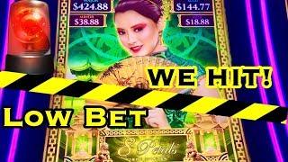 BIGWIN8 Petals Slot Machine IT DOES HAPPEN!Bonsai Yama Review Las Vegas Slots with friends!!