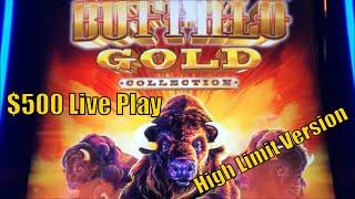 DON'T WORRY BE HAPPY ! $500 Slot Live PlayNew Series LUCKY 500BUFFALO GOLD Slot  HIGH LIMIT
