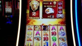 Buffalo Gold Slot Machine Bonus Win !!!! Live Play $3 Bet
