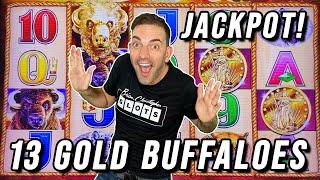 13 GOLD BUFFALO JACKPOT  BIGGEST IN FOREVER!!