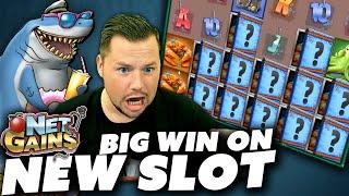 Is this NEW Slot Any Good?!? (Net Gains)