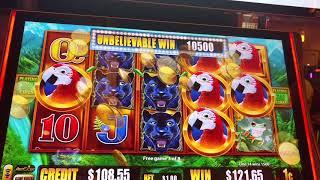 Nice win Macaw Money Aristocrat slot machine pokie Free spins Bonus