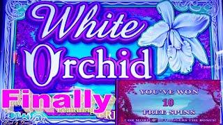 GOT MY FIRST BONUS AND VERY EXPECTED !!WHITE ORCHID Slot (IGT) $4.00 Max Bet$175 Free Play栗スロ