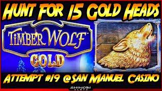 Hunt For 15 Gold Heads! Episode #19 on TimberWolf Gold - Can I Keep the Winning Streak Going?
