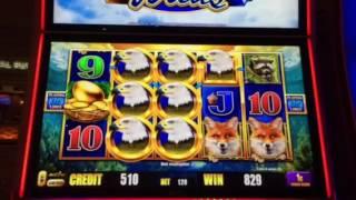 Birds Of Pay Slot Machine Free Spin Bonus Caesars Casino Las Vegas