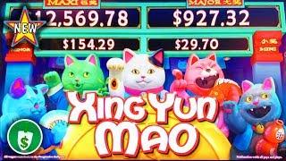 ️ New - Xing Yun Mao WA VLT slot machine, bonus
