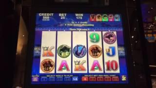 African Storm Slot Machine Free Spin $.05 Denom Bonus Aria Casino Las Vegas