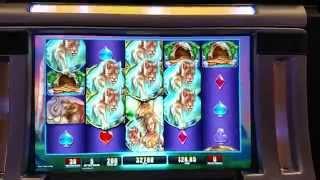 NEW WMS Cave girl Dawn HUGE WIN Free Spin bonus Slot machine