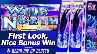 Wild North Slot - First Look, Free Spins Bonus in New Multimedia Games title