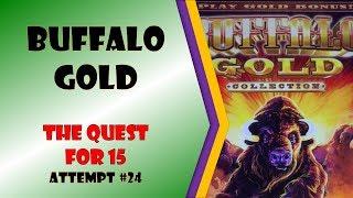 The Quest for 15 - Buffalo Gold Attempt #24