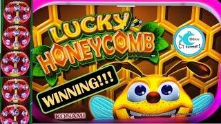 Lucky Honeycomb Slot Machine - Konami - Multiple Bonuses & Wins!