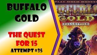 The Quest for 15 - Buffalo Gold Attempt #35