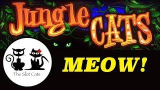 Lepre'Coin  Jungle Cat  The Slot Cats