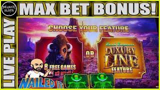 I PUT A BIG FIGHT WITH BUFFALO! Cash Express Luxury Line Slot Machine MAX BET BONUS