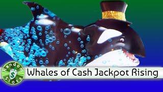 Whales of Cash Rising Jackpots slot machine bonus