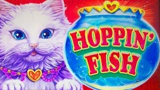 Hoppin Fish  Gold Dragon Red Dragon  The Slot Cats
