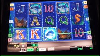 DOLPHINS PEARL DELUXE 30 Freispiele Gewonnen mit 80 Cent Spieleinsatz! Novoline Casino