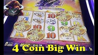 Buffalo Gold | 4 Coin Bonus Came Though