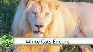 White Cats slot machine, Encore Bonus