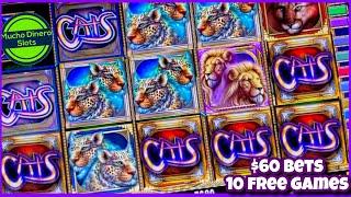 HUGE JACKPOT/ CATS SLOT HIGH LIMIT/ $60 BETS/ 10 FREE GAMES/ CATS SLOT JACKPOT/ MUCHO DINERO SLOTS