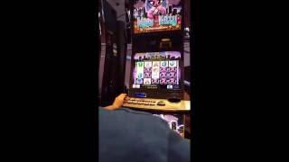 Miss Kitty live play MAX BET with Bonus and big win Slot Machine