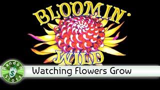 Bloomin' Wilds slot machine, Encore Bonus with Retrigger