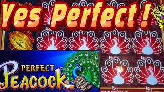 THIS IS REAL PERFECT PEACOCK !50 FRIDAY 273︎COIN BONANZA / FORTUNE 4 LINK / COIN COMBO Slot