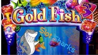 Goldfish 3 Big Bonus Wins ! Nice Picking   ! Aria Las Vegas