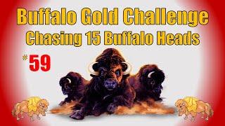 Buffalo Gold Challenge - Chasing 15 Buffalo Heads #59