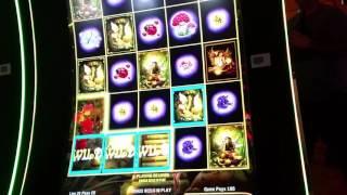 $100 High Limit Slot Machine Bet - Acorn Pixie Hundred Dollar Slot