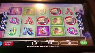 $25 Cash Cove - Bonus Free Games Jackpot Handpay at Cosmo Brian of Denver Slots