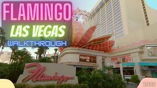 Flamingo Reopening Walkthrough!  Casino & Wildlife Exhibit Tour  Las Vegas 2020