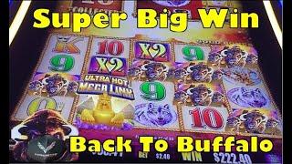 Buffalo Gold | Super Big Win - Trying to Get My $100 back