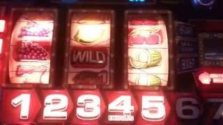£5 Challenge DOND Walk of Wealth Fruit Machine at Bunn Leisure Selsey